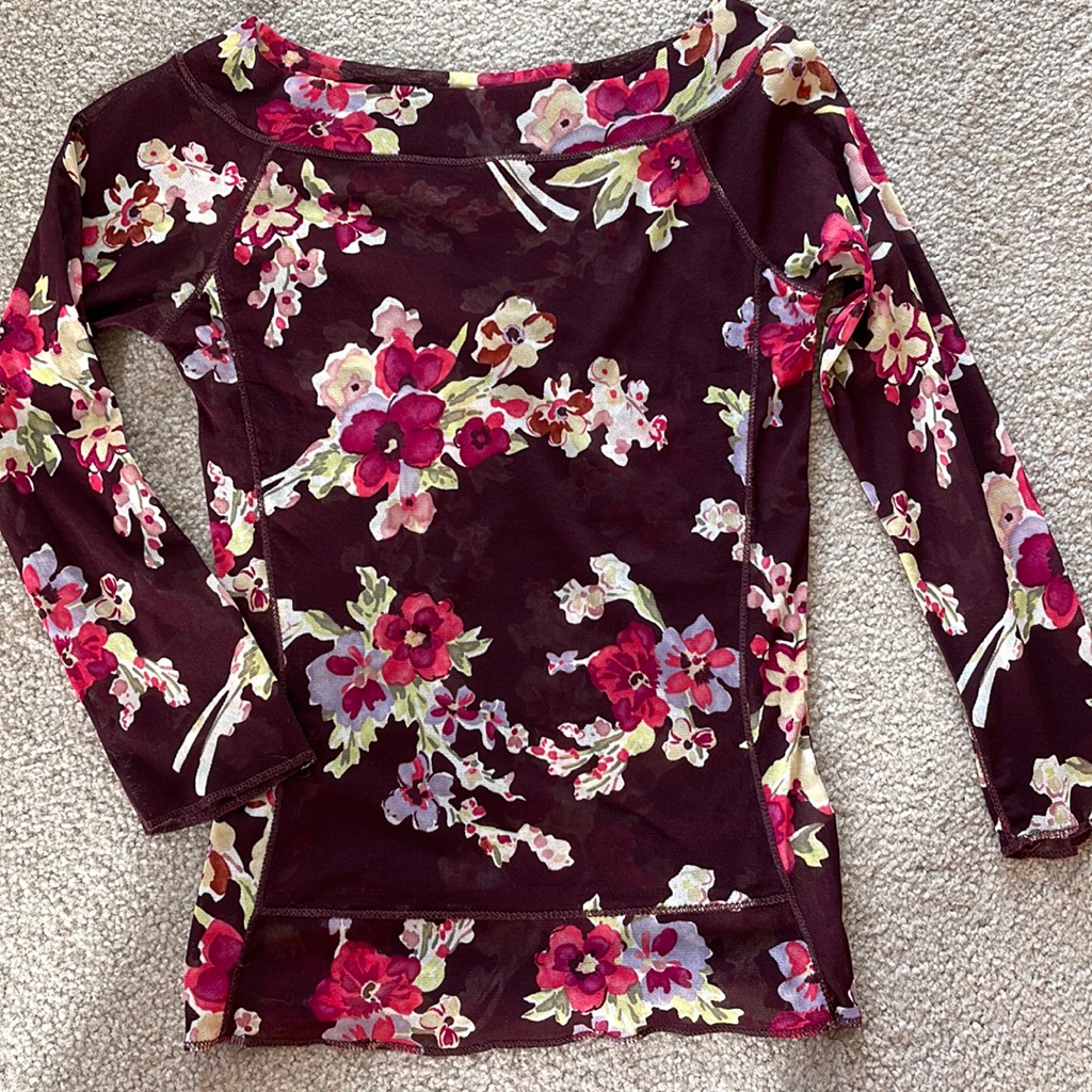 The Limited Sheer Boatneck Top Small